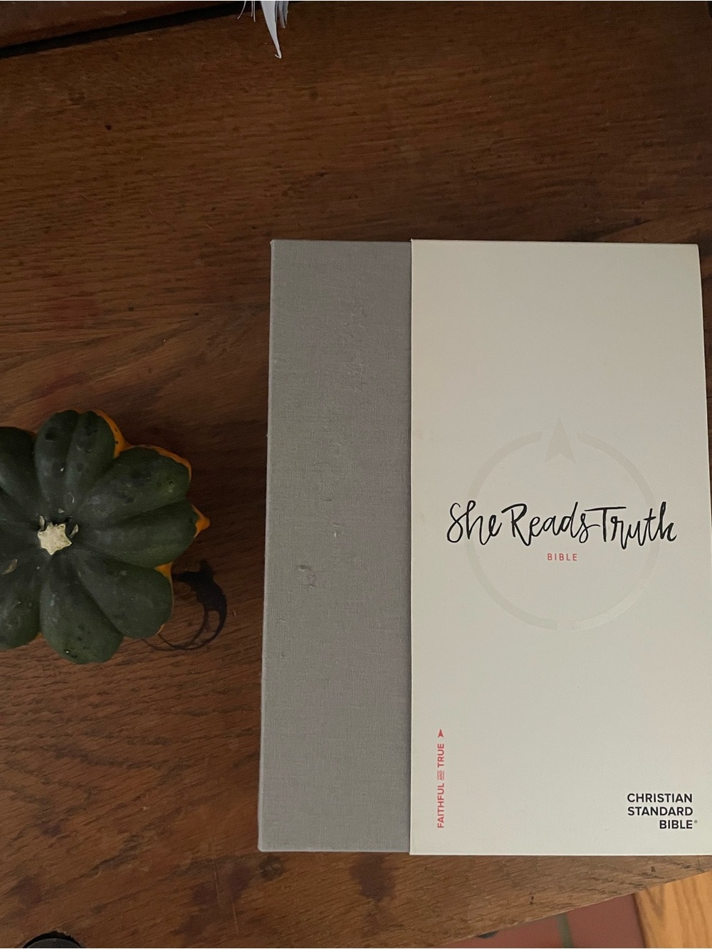 Bible – Cream and Gray Christian Standard Bible